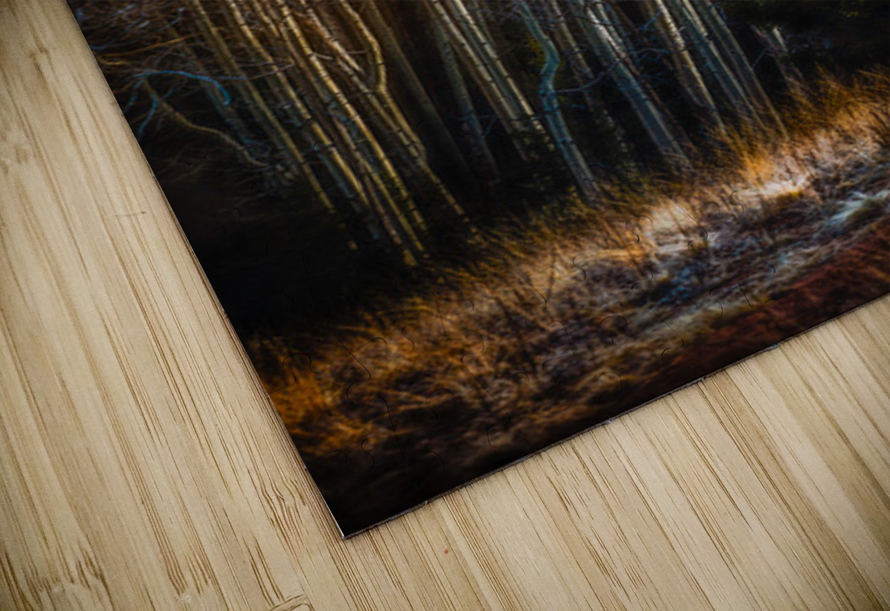 Mueller Aspen Series: Whispers of Fall Dream World Images Puzzle