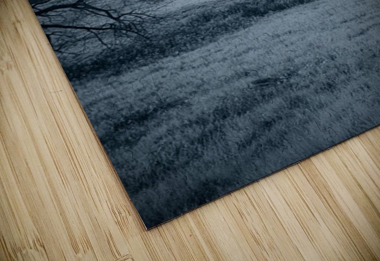 Solace in Solitude: A Blue Lighted Tree in Infrared Dream World Images Puzzle