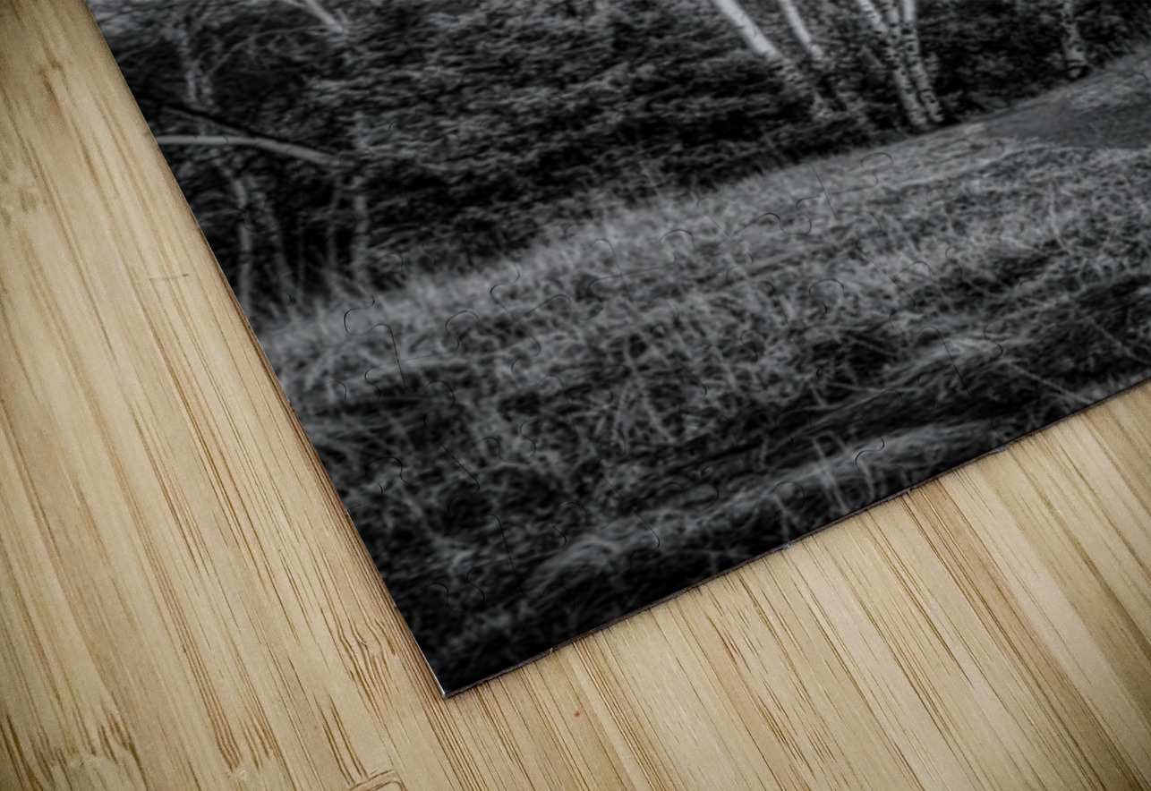 Mueller Aspen Series: Aspen Moon Dream World Images Puzzle