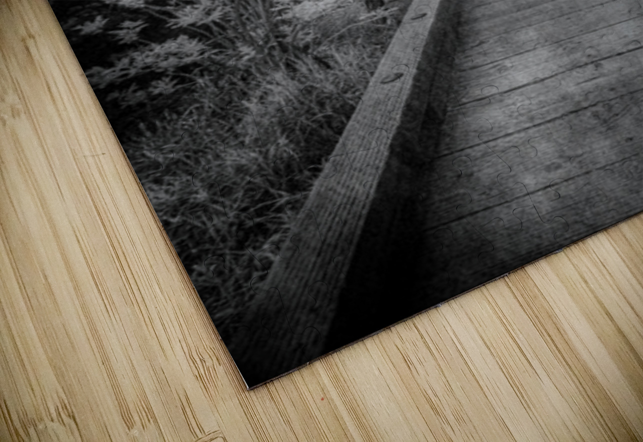 Mystical Journey: Sylvan Lake Wooden Trail in Infrared Dream World Images Puzzle