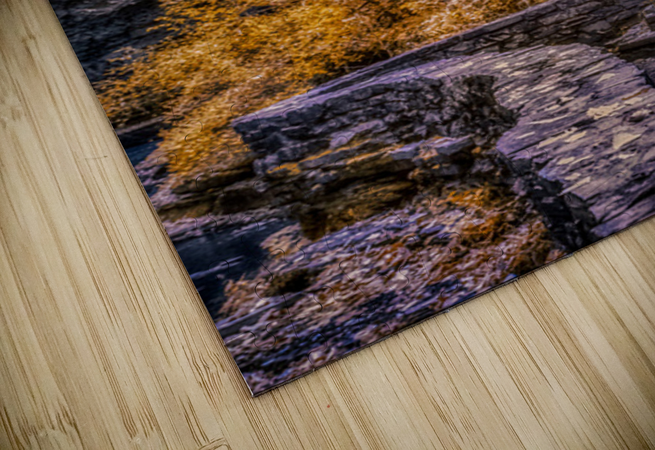 Golden Steps Ascent: A Color Infrared Symphony in Watkins Glen Dream World Images Puzzle