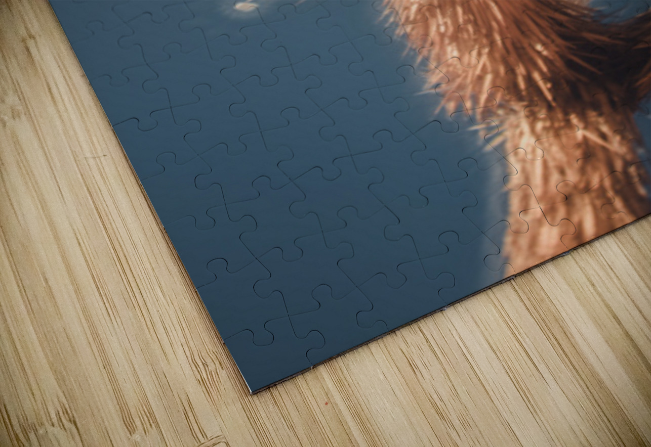 Textured Dance Beneath the Blue Dream World Images Puzzle