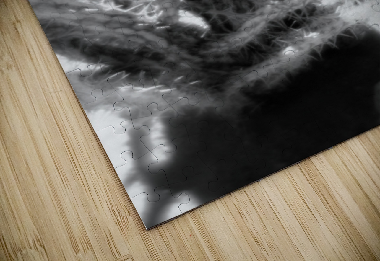 Prickly Dance on a Blurred Canvas Dream World Images Puzzle