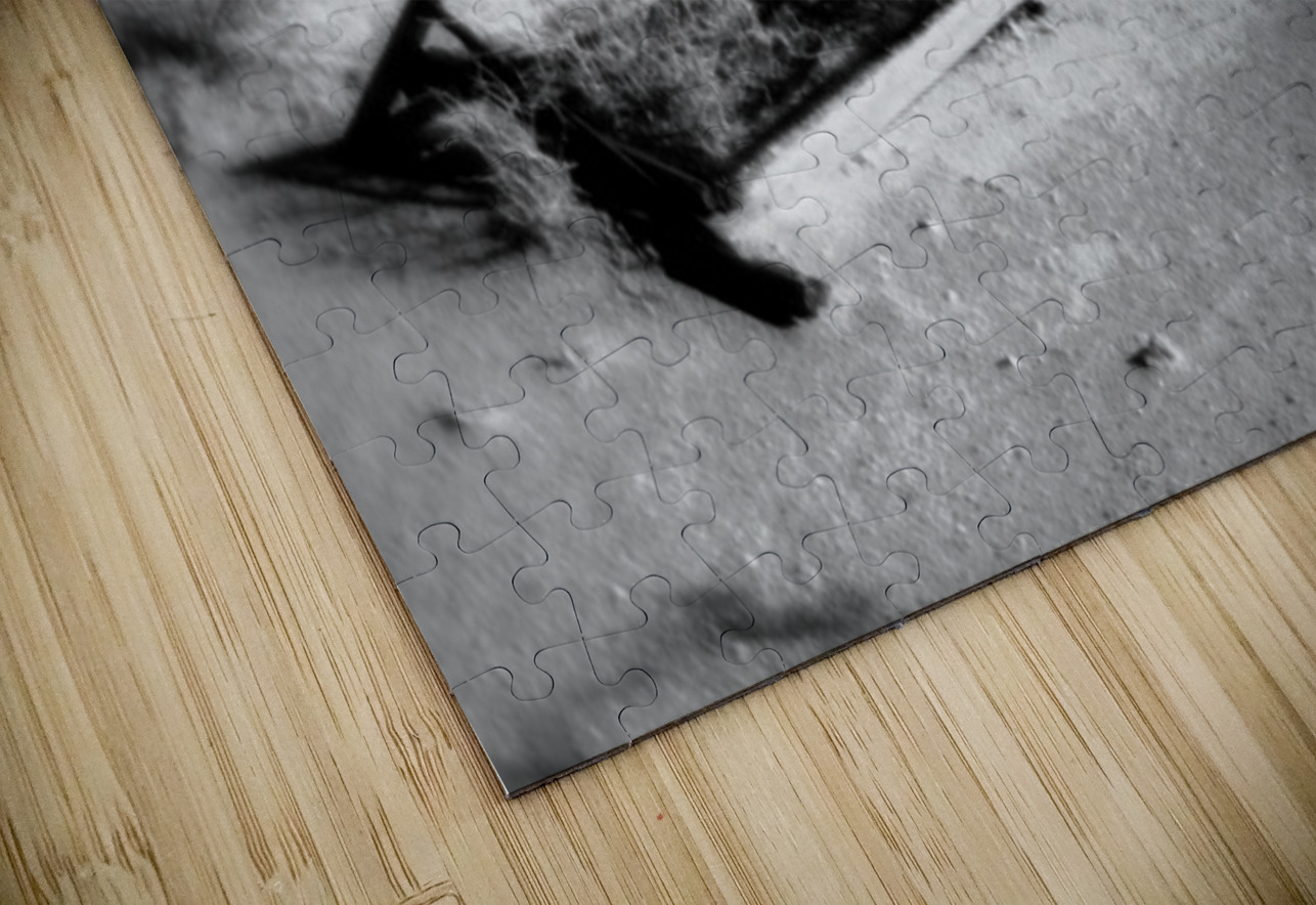 Forgotten Frame in a Sea of Thorn Dream World Images Puzzle