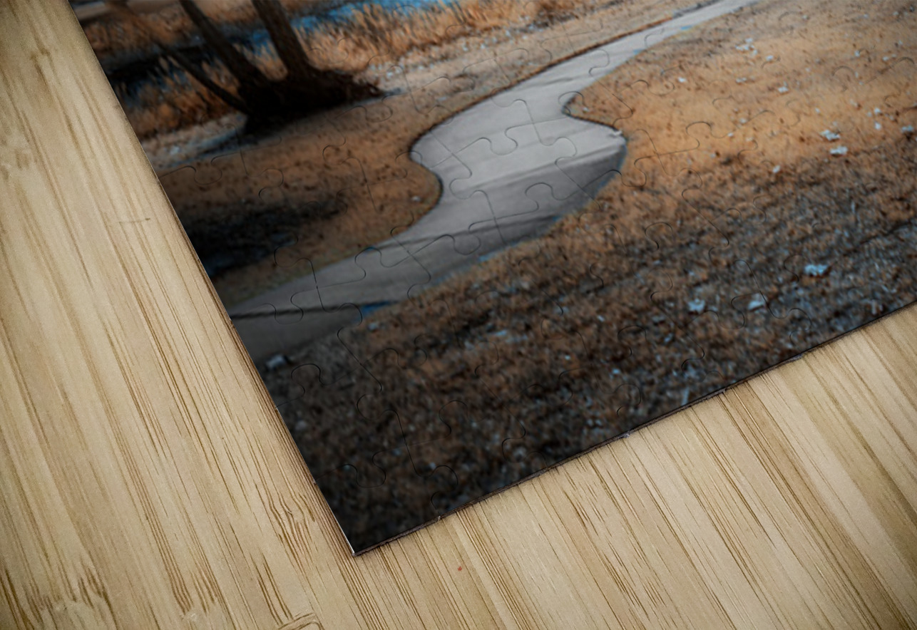 Mystical Tranquility: A Walk through Venetian Gardens in Leesbur Dream World Images Puzzle