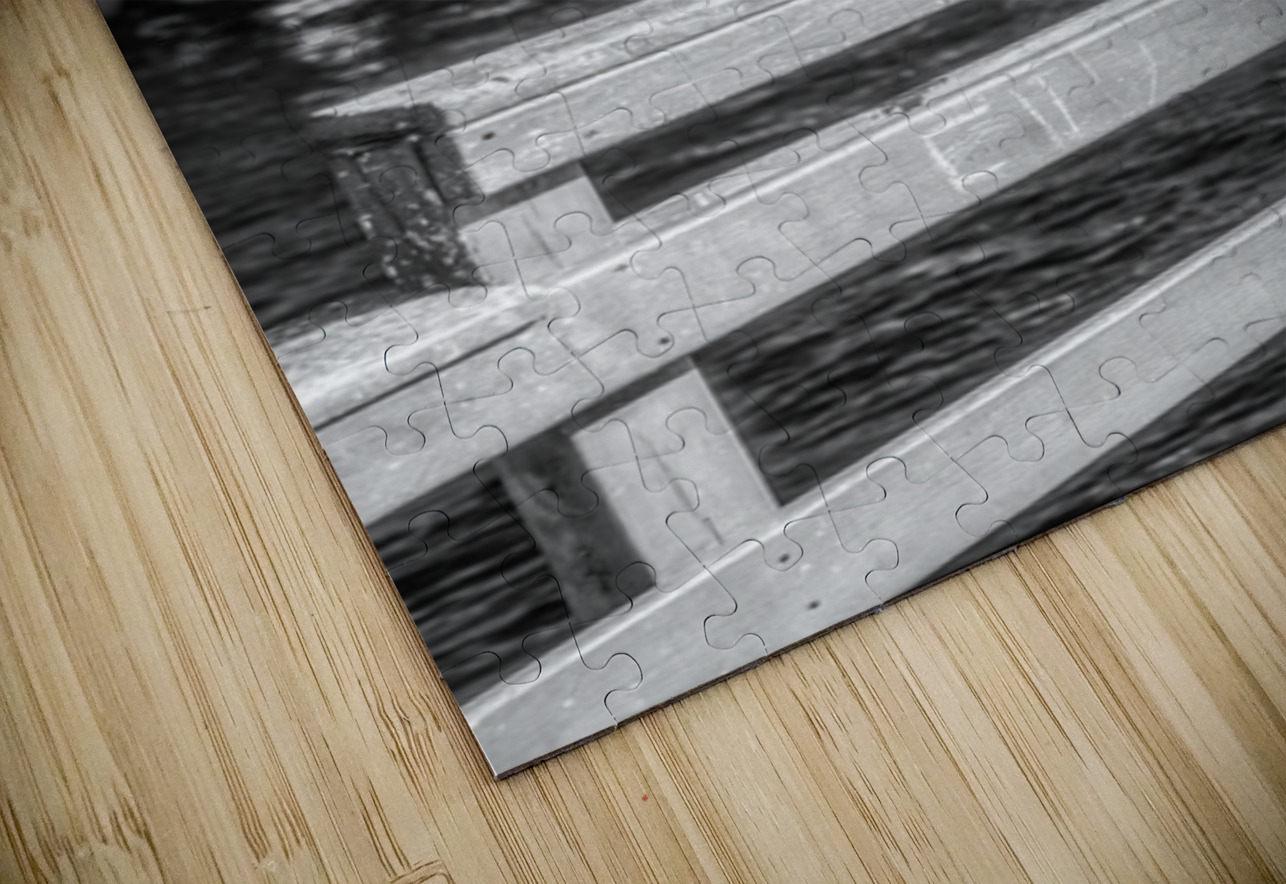 Oceans Guardian: Black and White Infrared Capture of Pelican on  Dream World Images Puzzle