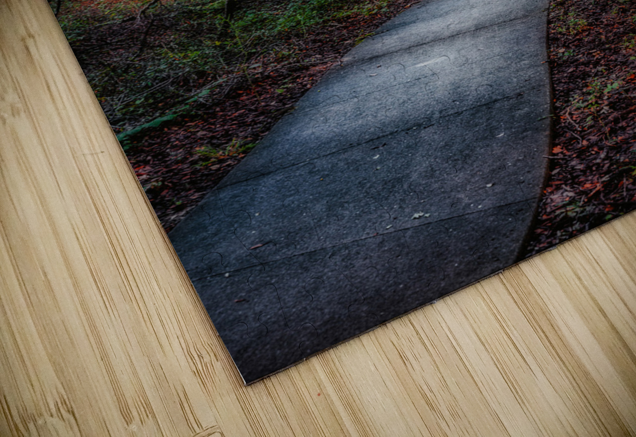 Solitary Trails: Melancholy Path Dream World Images Puzzle