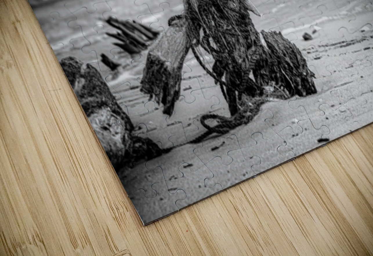 Driftwood Rhapsody on Serene Sands Dream World Images Puzzle