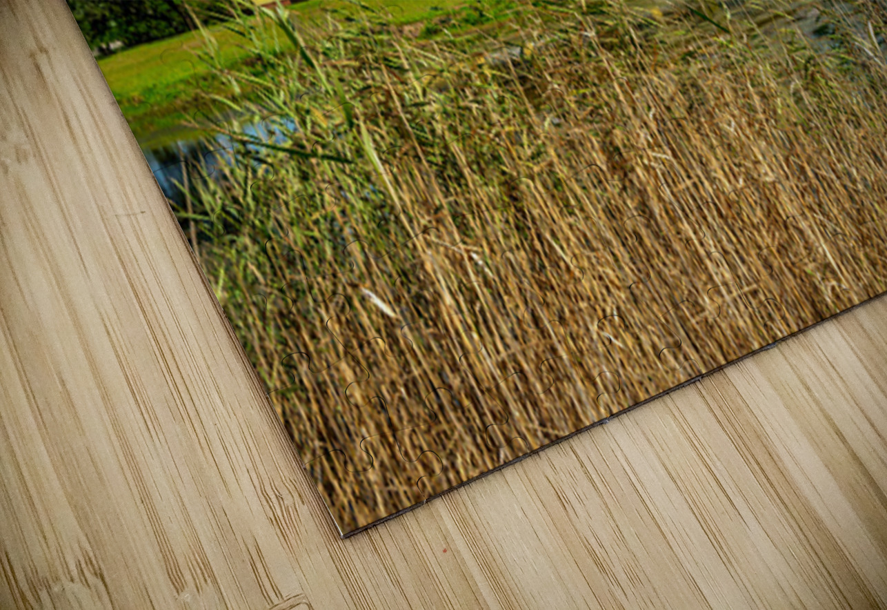 Exploring the Historic Whalehead Club: Beauty by the Seashore Dream World Images Puzzle