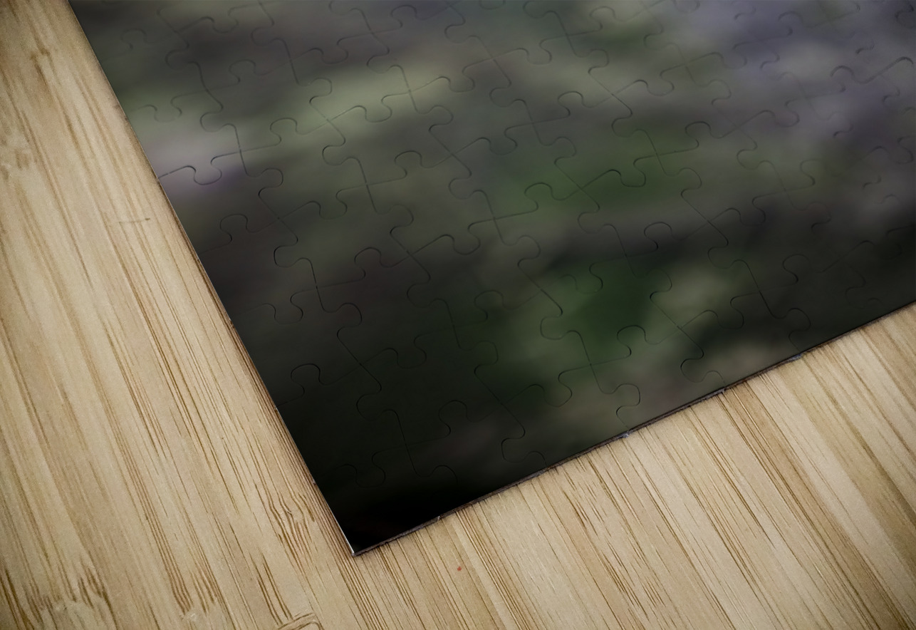 Wisterias Whisper Dream World Images Puzzle