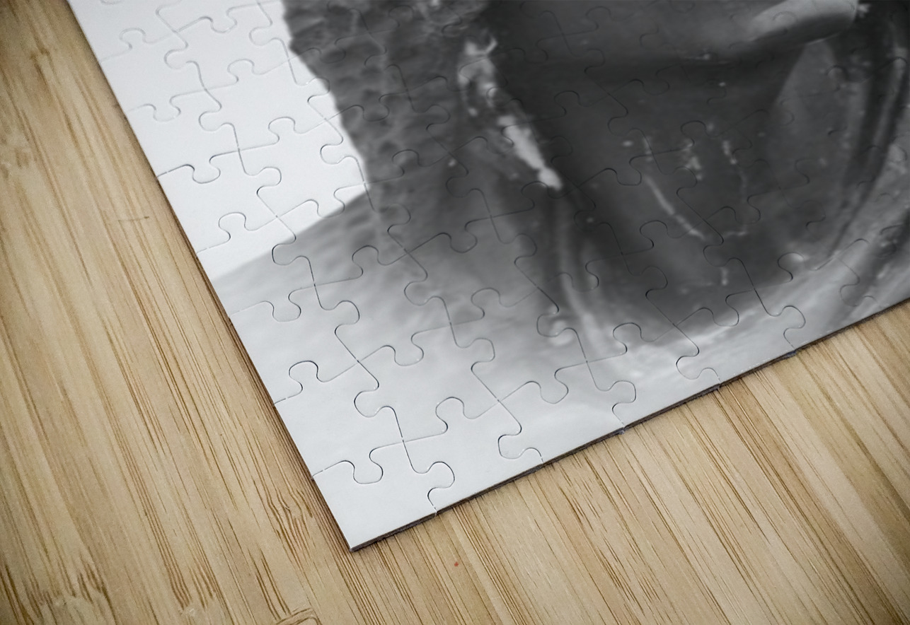 Southern Sentinel Dream World Images Puzzle