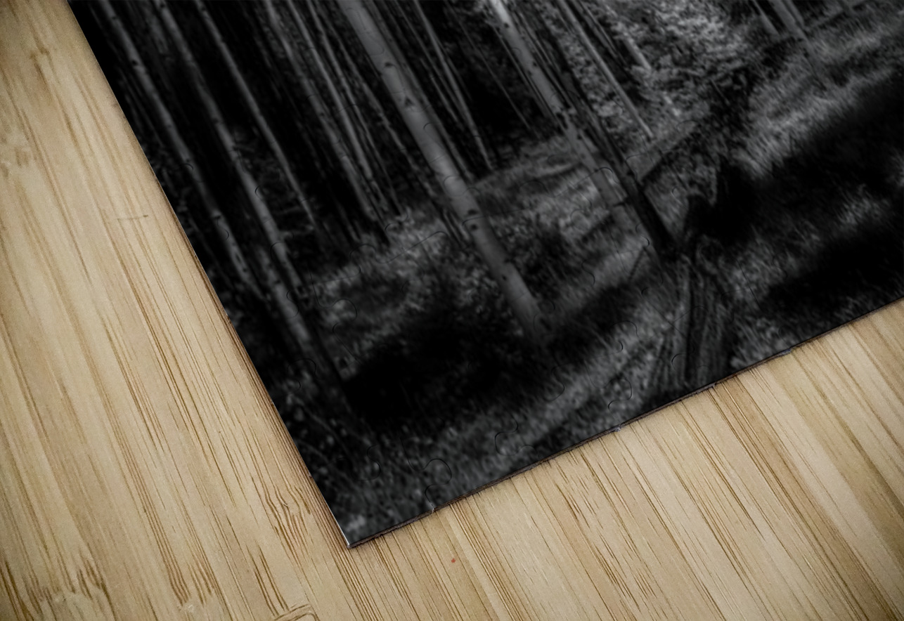 Infrared Luminescence on Artist Road Dream World Images Puzzle