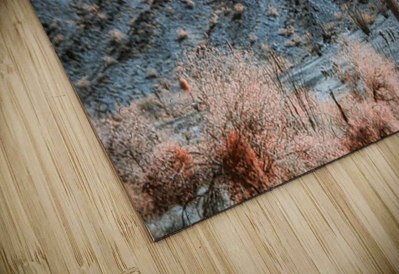 Rocky Backdrop to a Prickly Presence Dream World Images Puzzle