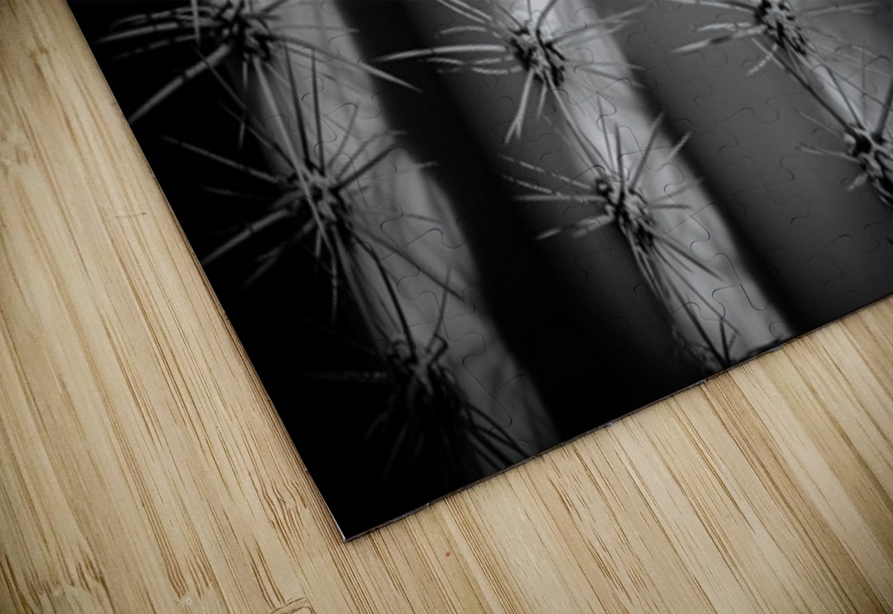 A Tapestry of Thorns Dream World Images Puzzle