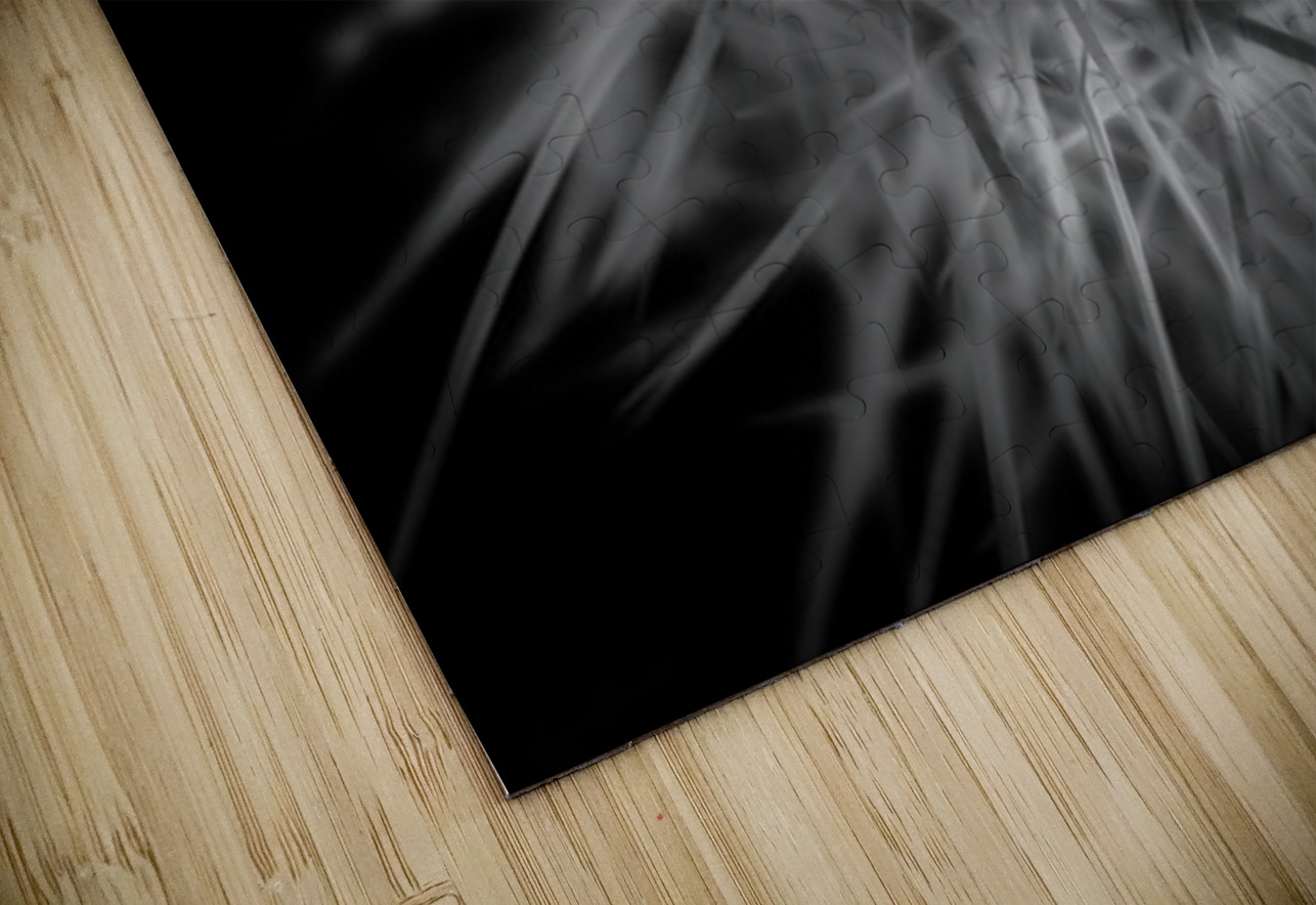 Threading the Needle of Light Dream World Images Puzzle