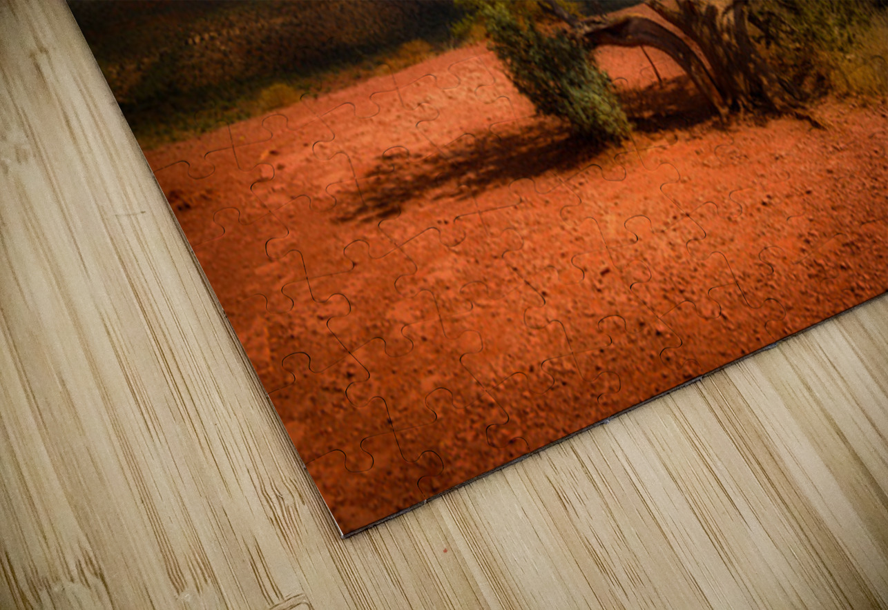 Gnarled Ode on Reddish Earth Dream World Images Puzzle