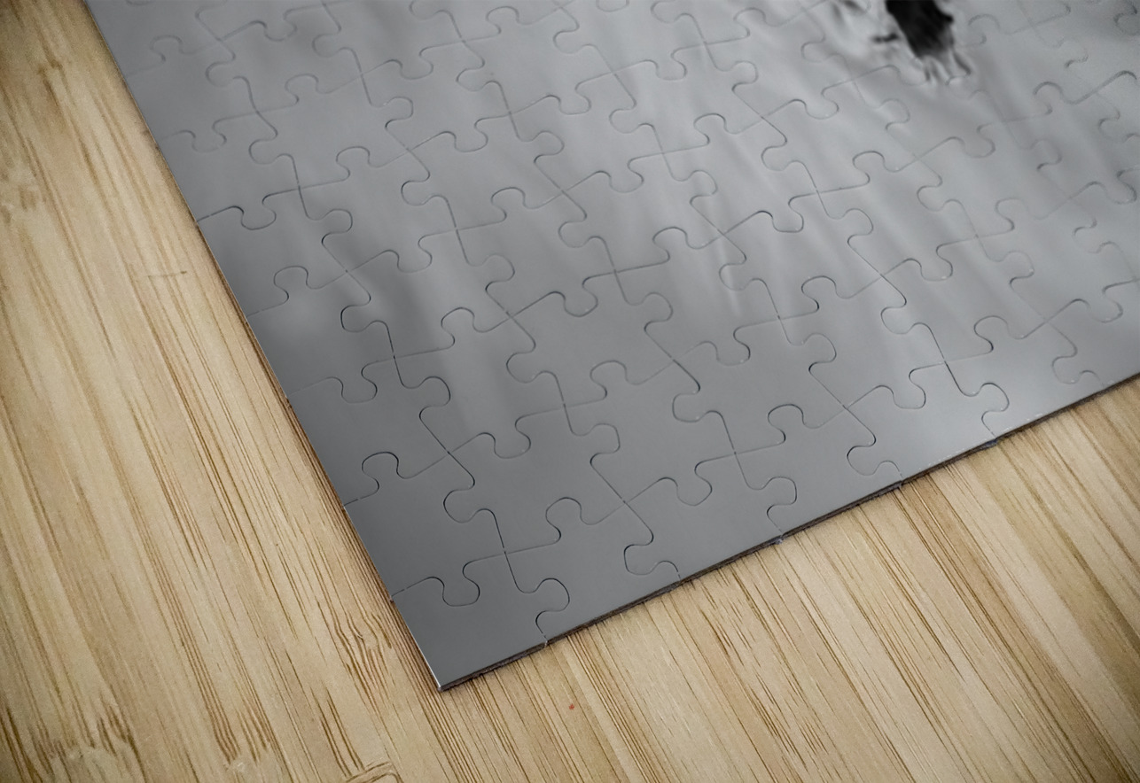 Prickly Veil Dream World Images Puzzle