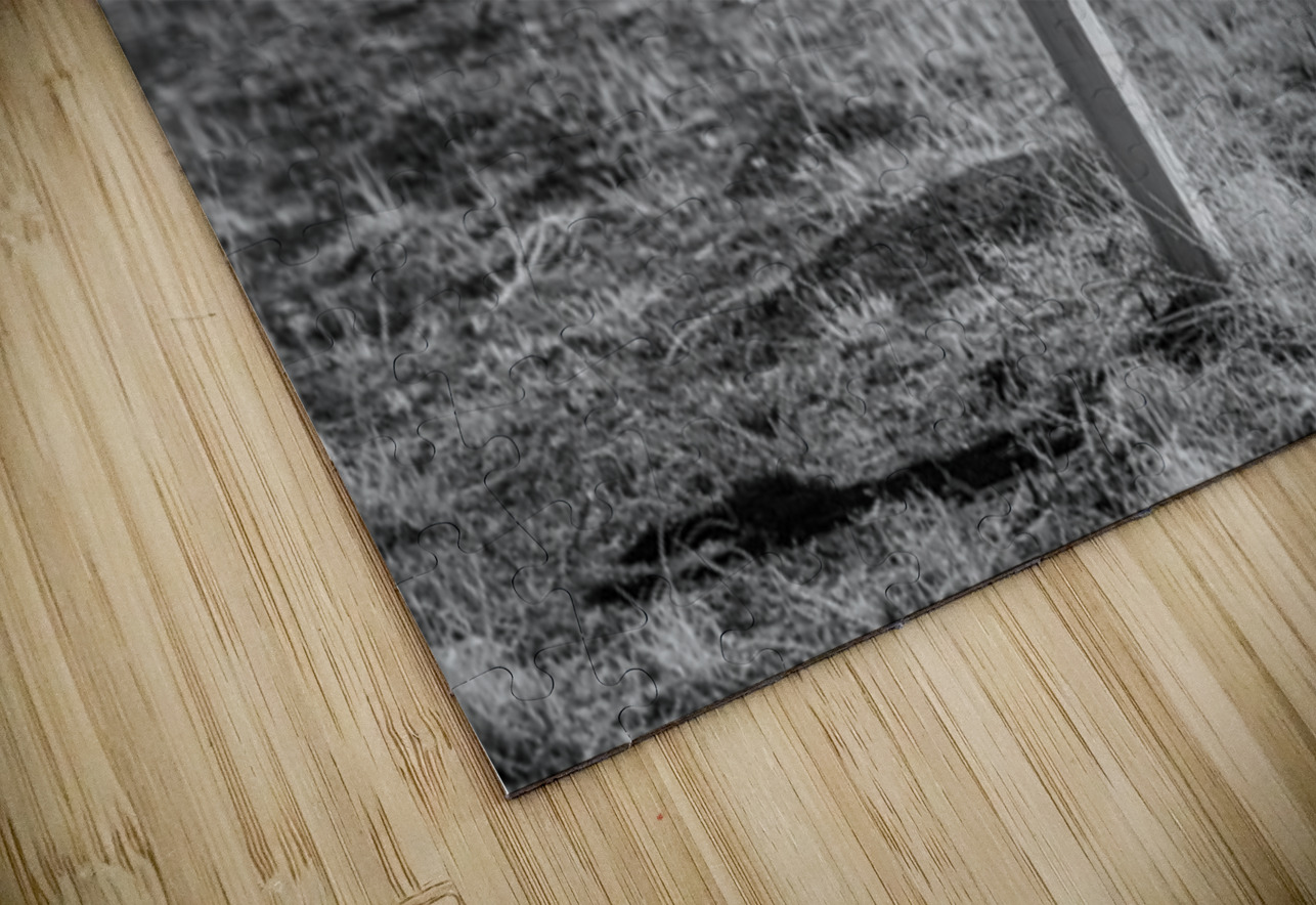 Dawson Cross Dream World Images Puzzle