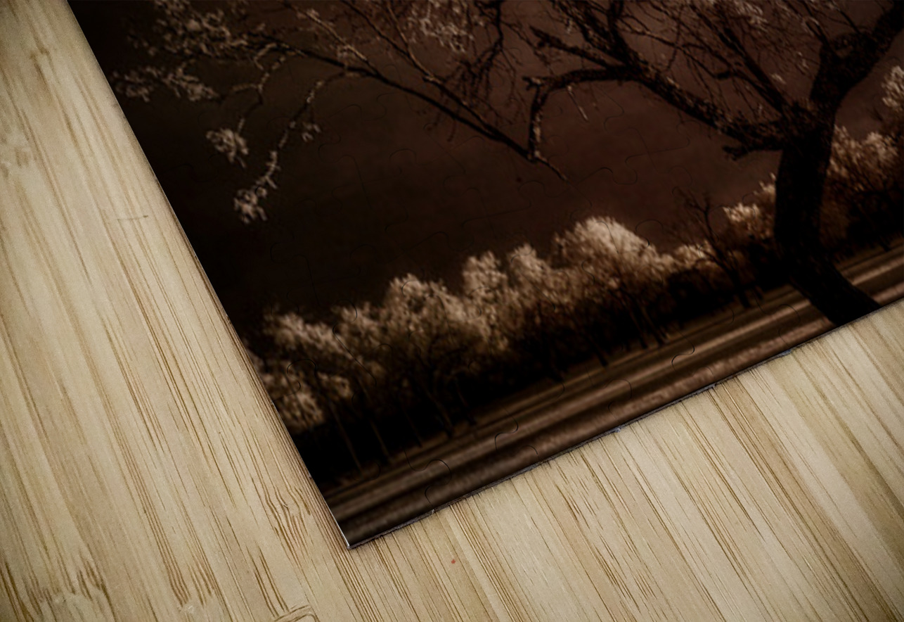 Crown Light Dream World Images Puzzle