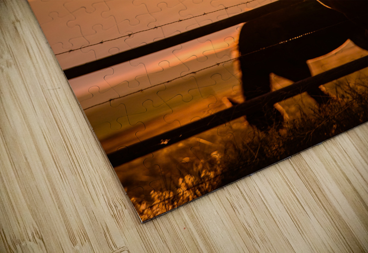 Sunset Silhouette: Portrait of Ernie Dream World Images Puzzle