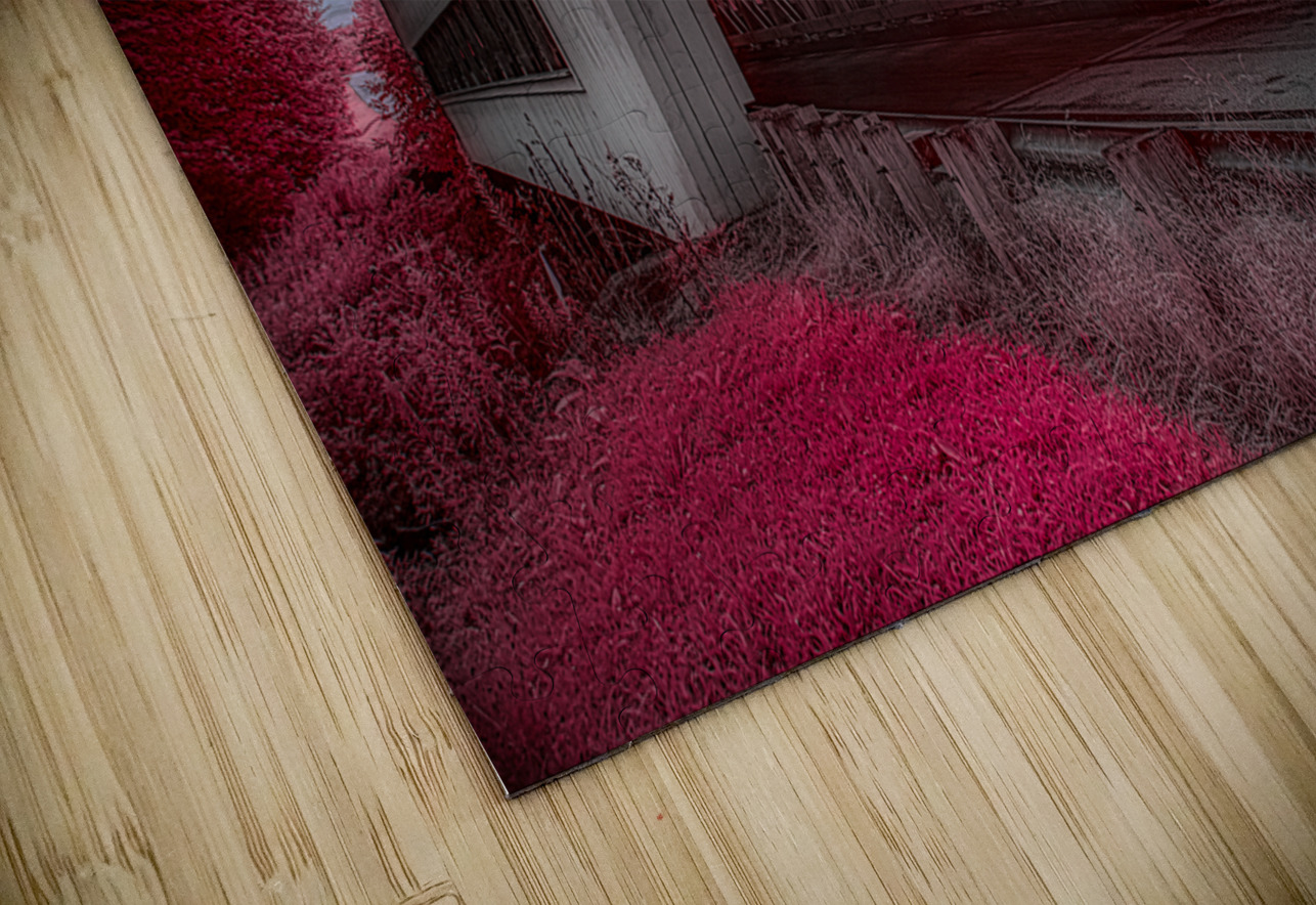 Reds and Shadows of an Ethereal Passage Dream World Images Puzzle