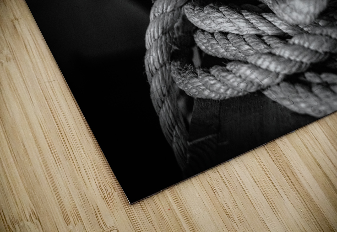 Tangled Luminescence Dream World Images Puzzle