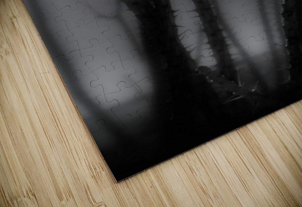 Shadows Weave Through Thorned Spire Dream World Images Puzzle