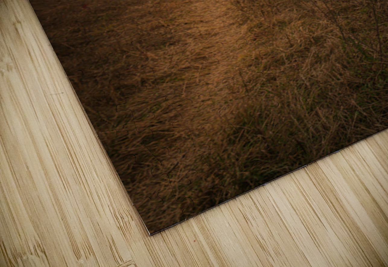 Twilights Promise Dream World Images Puzzle