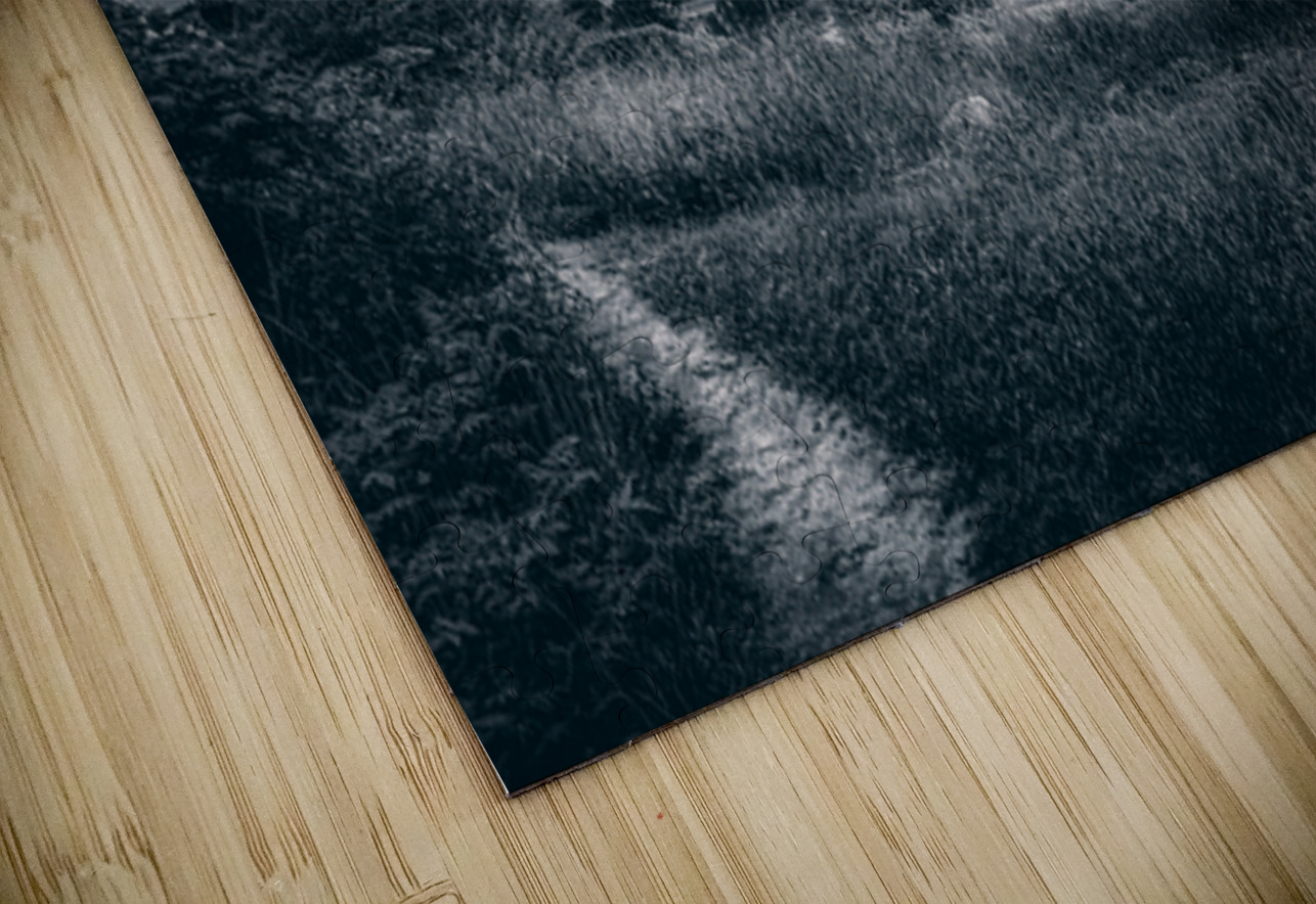 Storm Watch at Little Round Top Dream World Images Puzzle