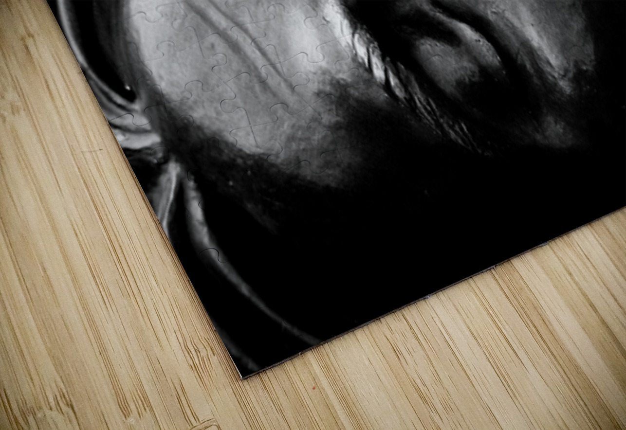 In the Eyes of War Dream World Images Puzzle