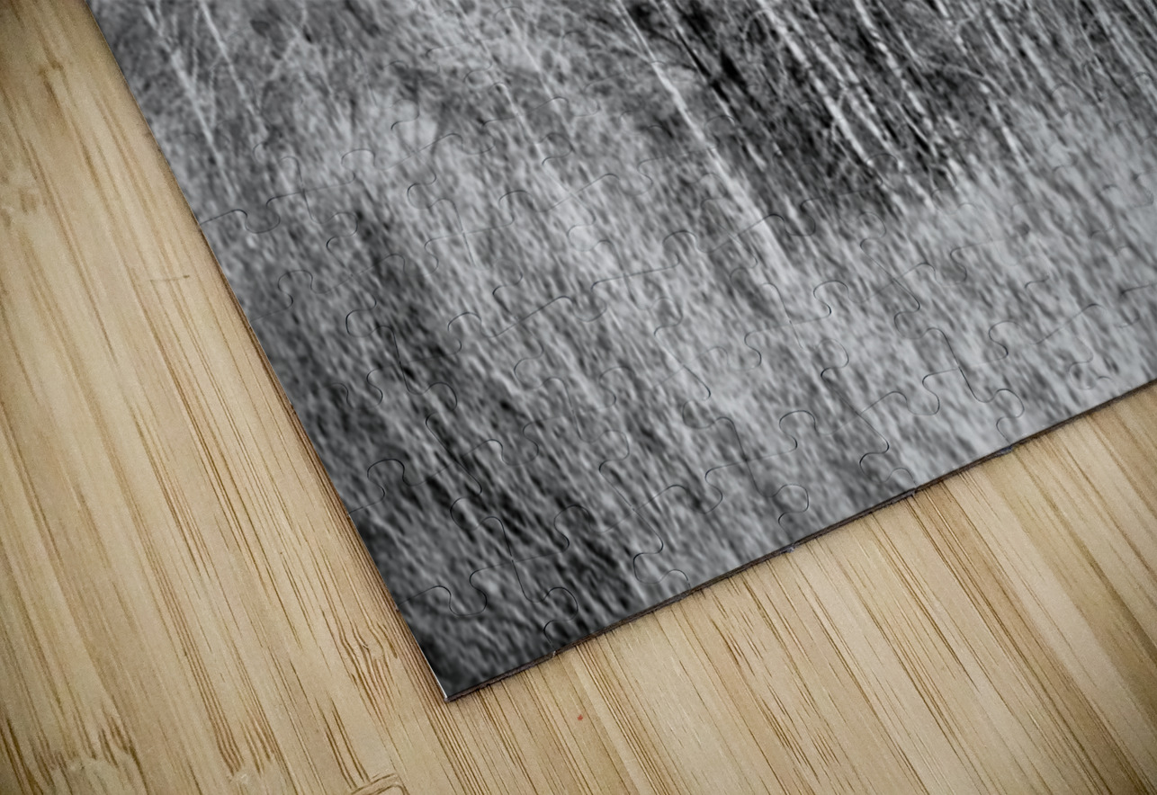 Winters Light Dancers Dream World Images Puzzle