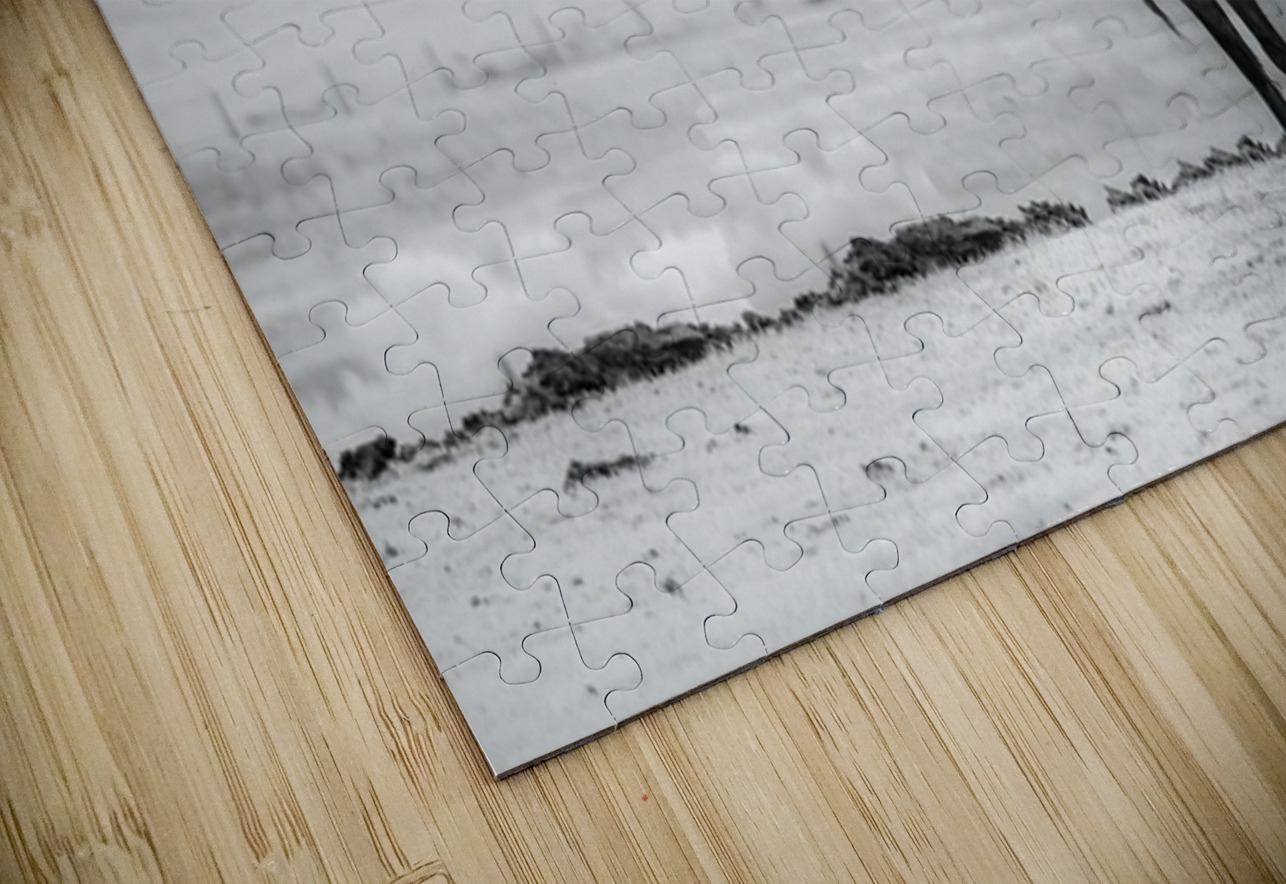 Solitary Majesty   Wind River Sentinel Dream World Images Puzzle