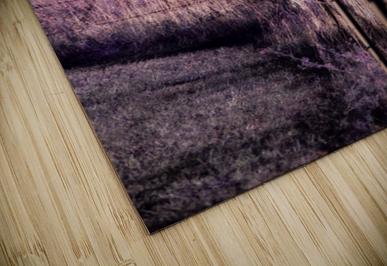 Purple Prairie Dreams   Wyoming Boundaries Dream World Images Puzzle