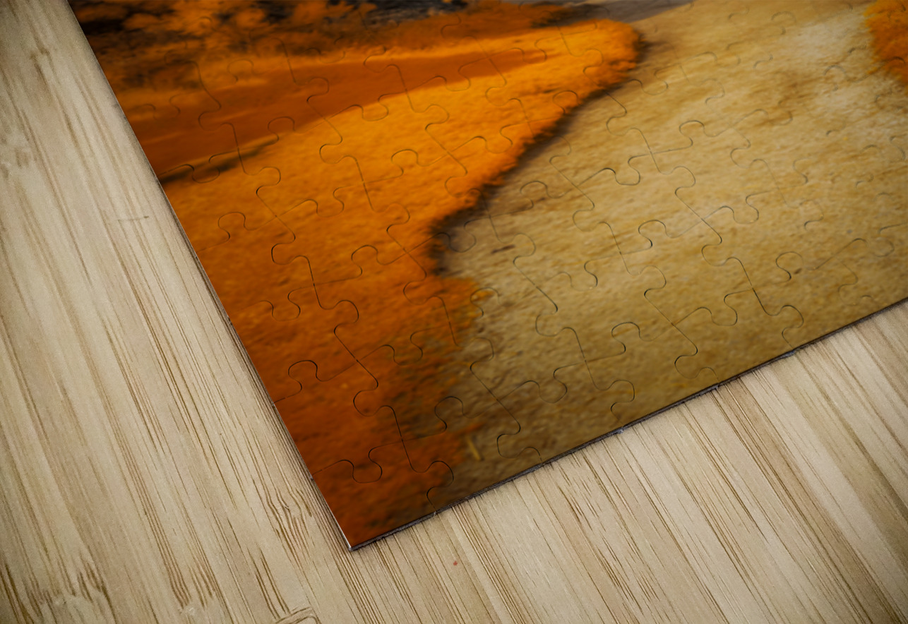 Autumnal Serenity: Sylvan Lake Path in Infrared Dream World Images Puzzle