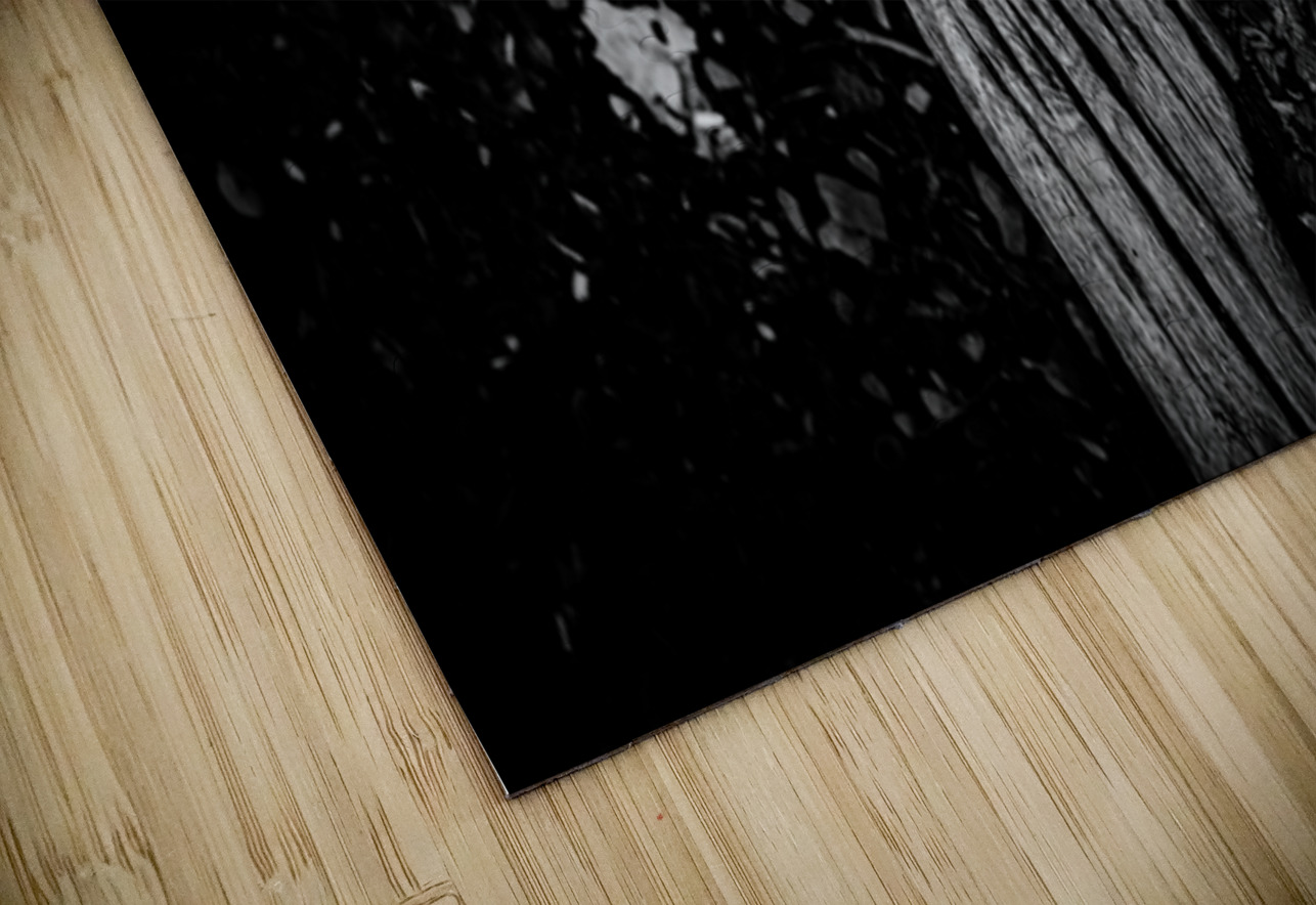 Step Above  Dream World Images Puzzle