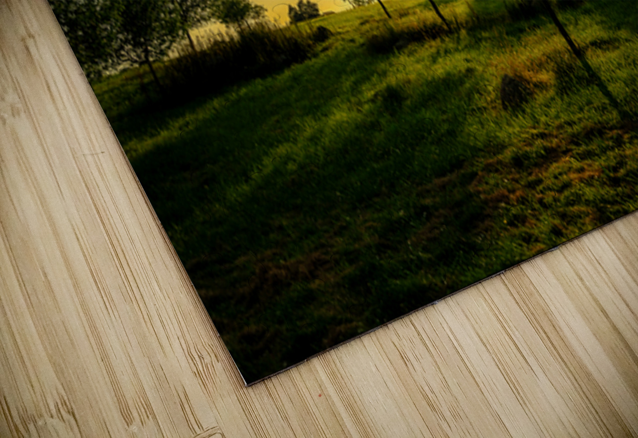 Golden Hour Symphony: Trostle Farms Enchanting Ambiance at Getty Dream World Images Puzzle