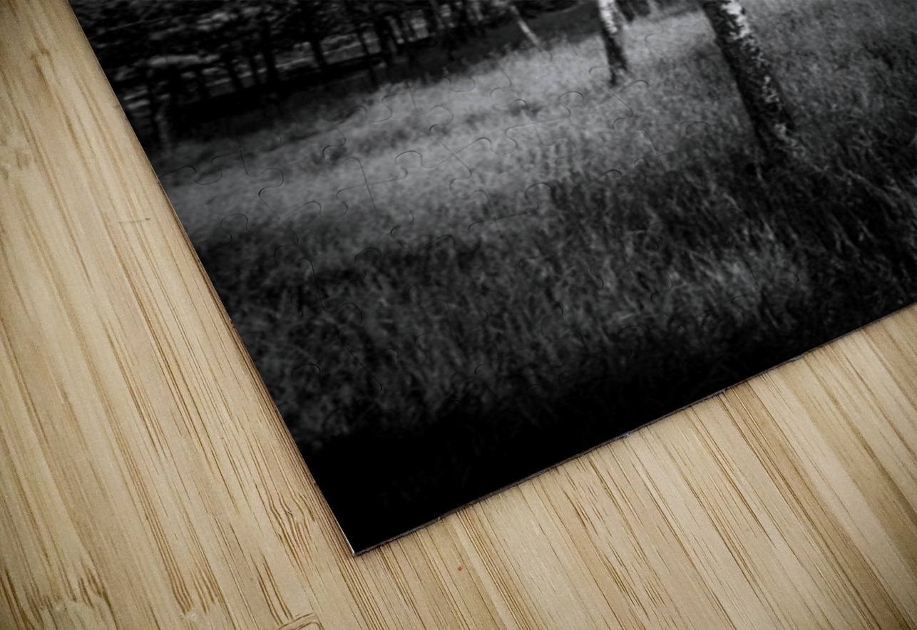 Aspen Reverie: Ansels Inspiration Dream World Images Puzzle