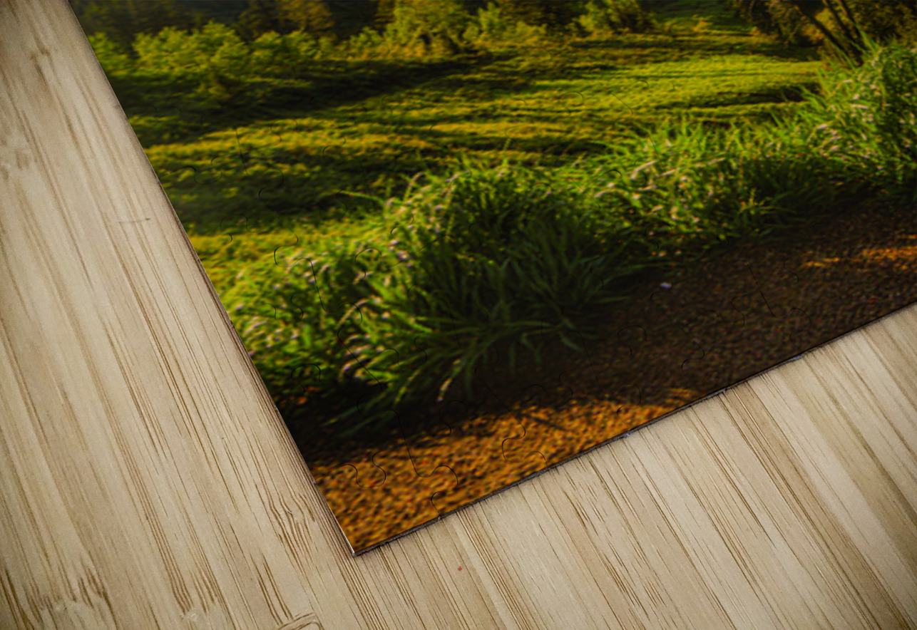 Valley of Dreams   Teton Pass Summit Dream World Images Puzzle