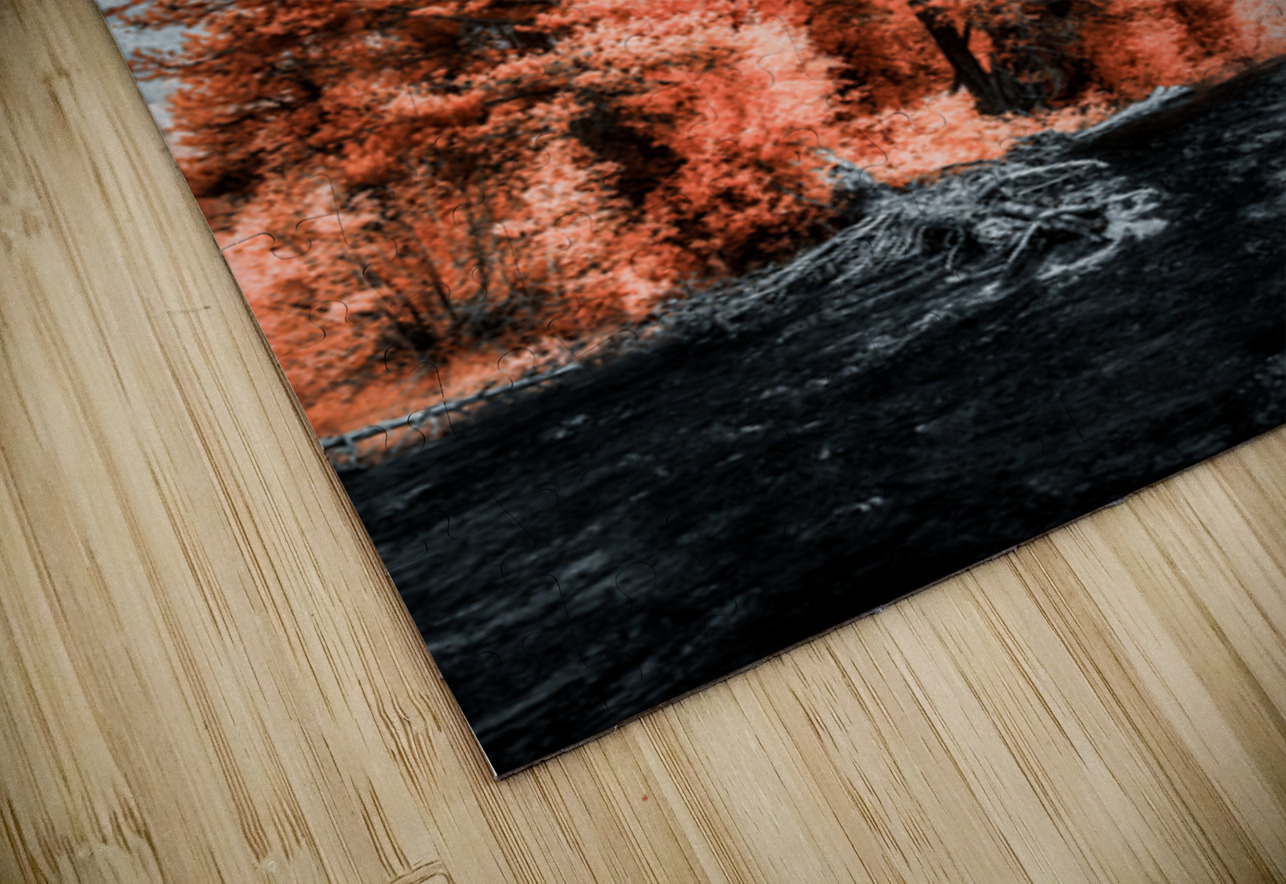 Lakeside Autumn Blaze   Infrared Fire Dream World Images Puzzle