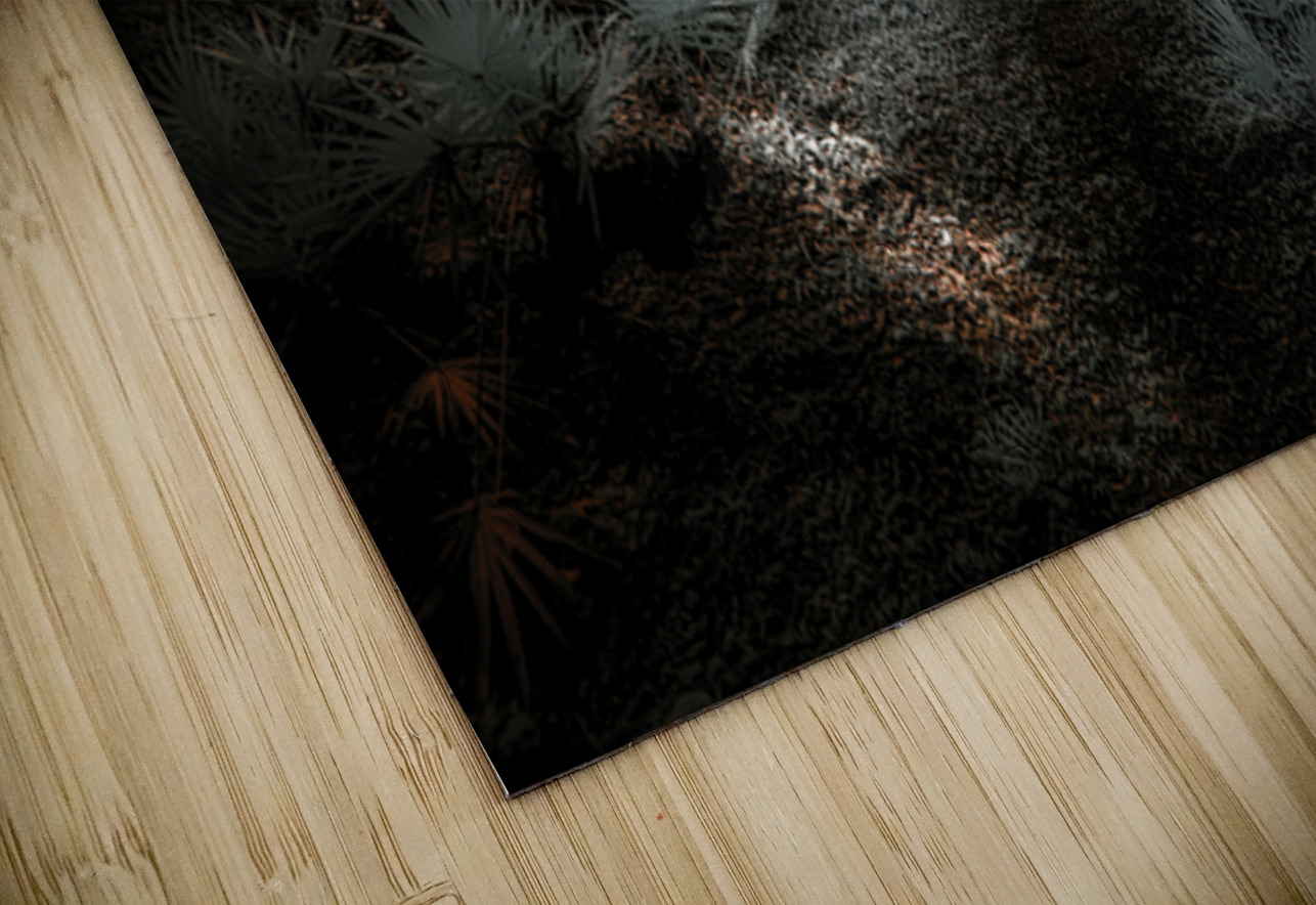 Arcadia’s Veil: The Secret Path Dream World Images Puzzle