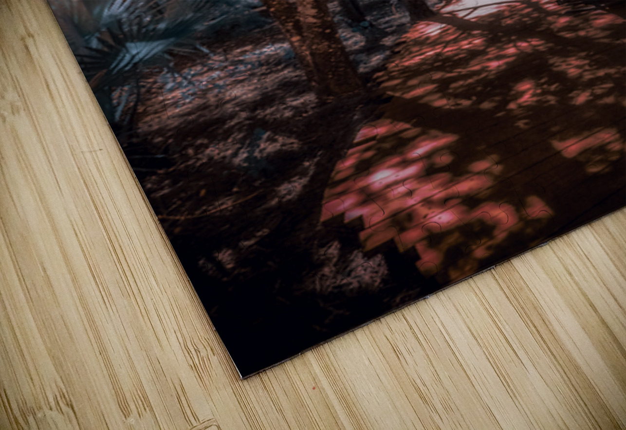 Where the Light Finds You Dream World Images Puzzle