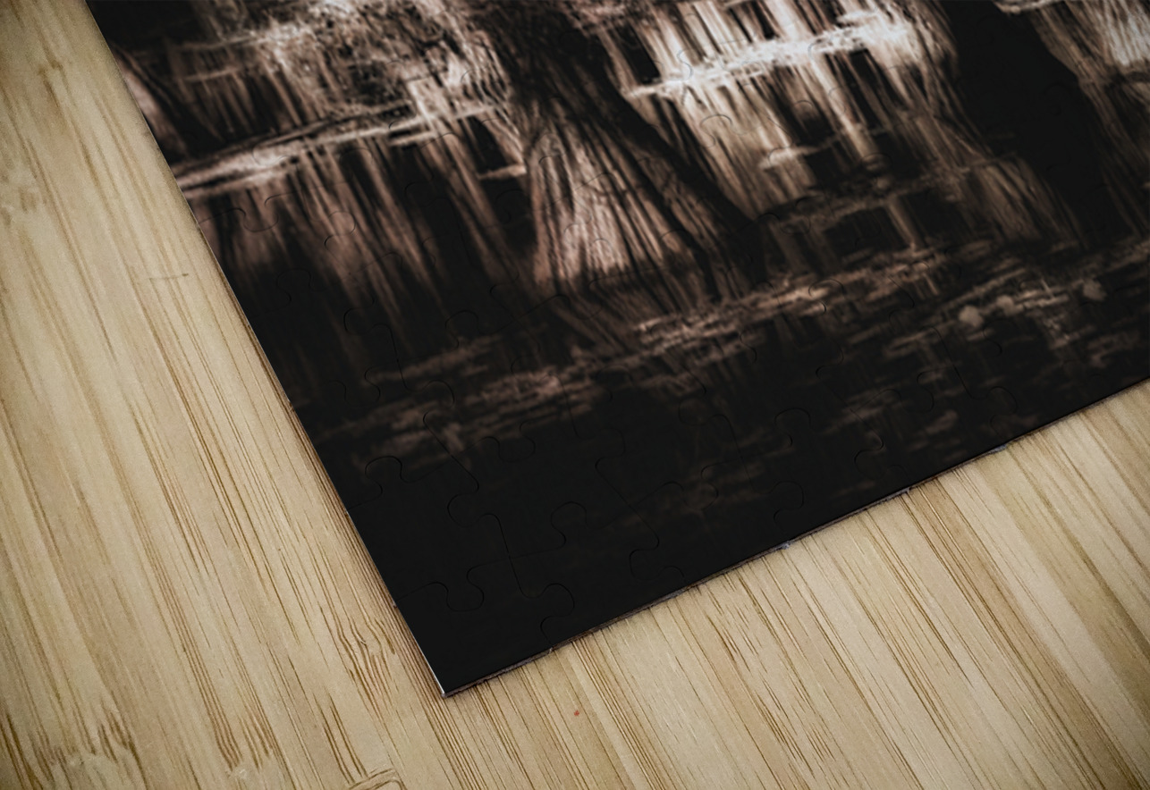 The Light Between Worlds Dream World Images Puzzle