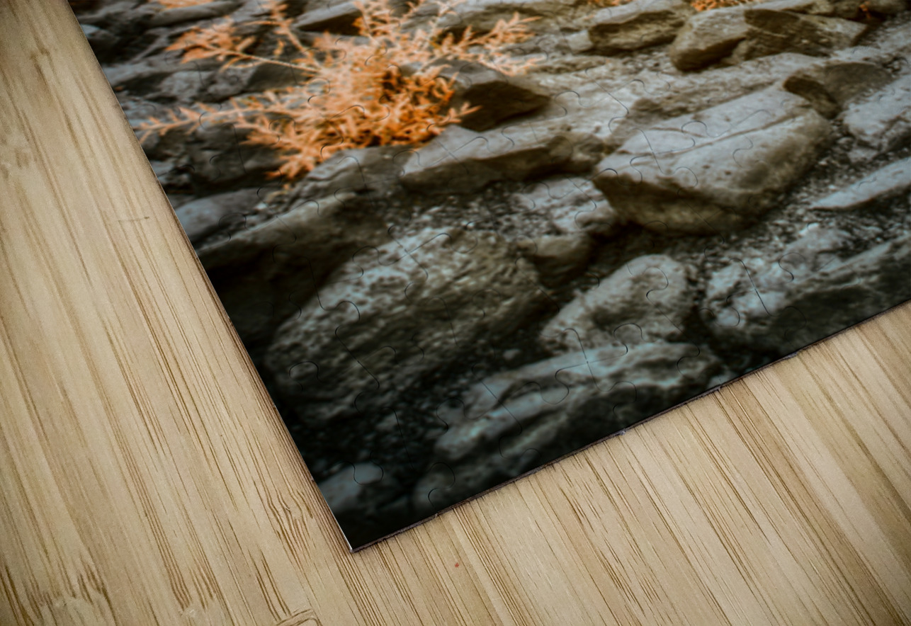 Autumn Fire and Falling Water Dream World Images Puzzle