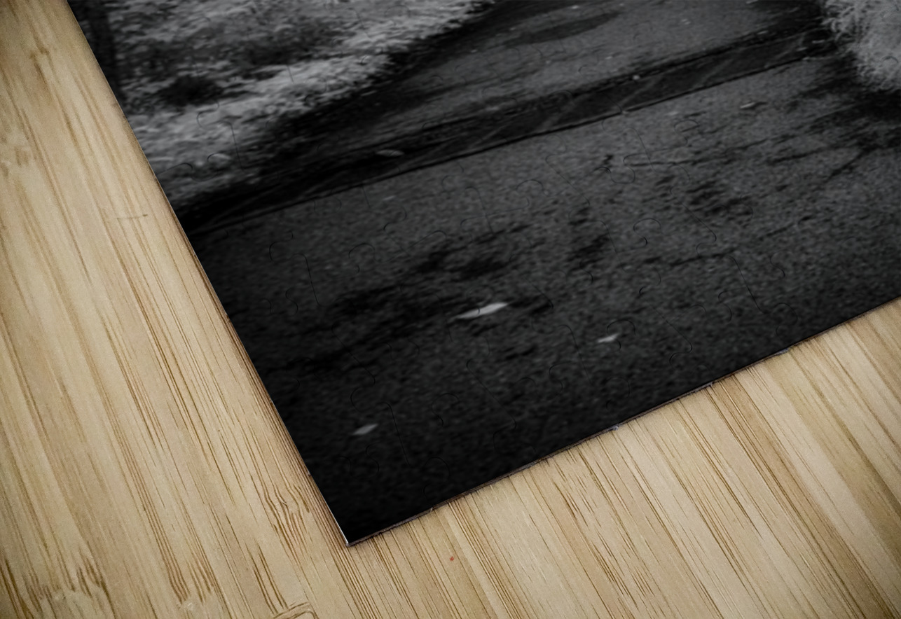 Path Through the Enchanted Forest Dream World Images Puzzle