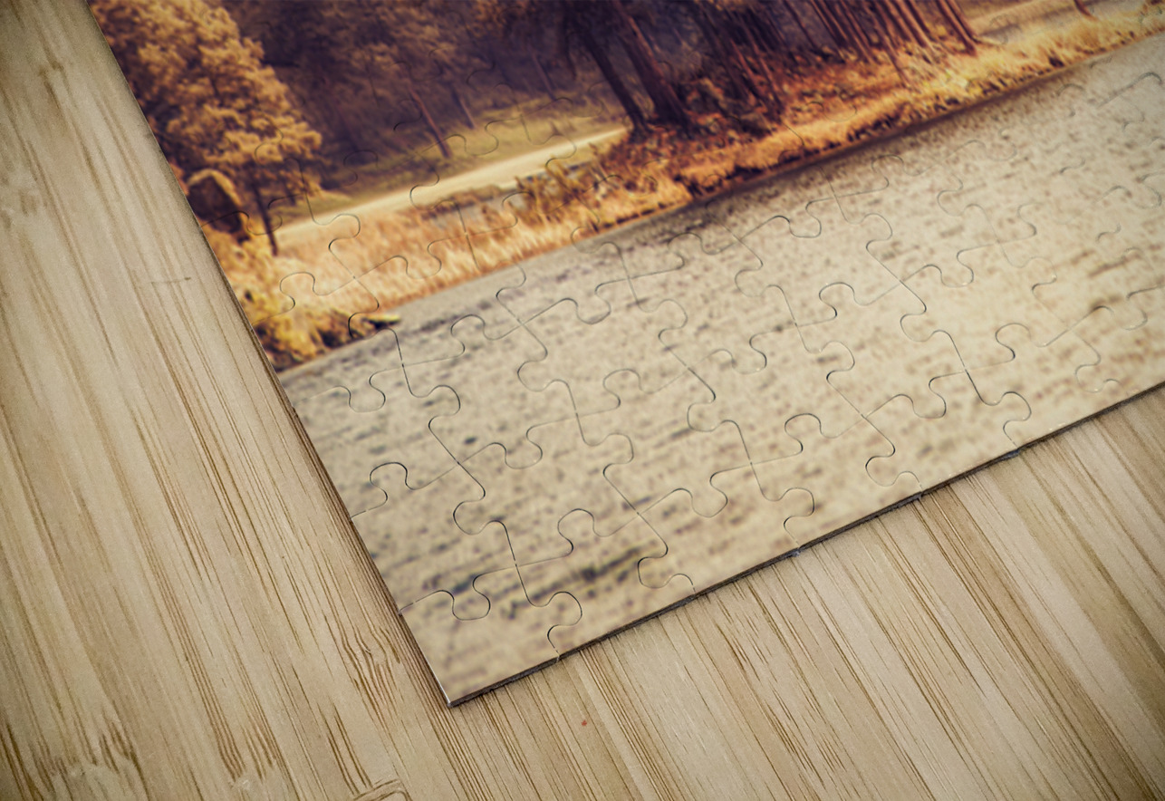 Stockade Lake Tree Island Hazy Dream World Images Puzzle