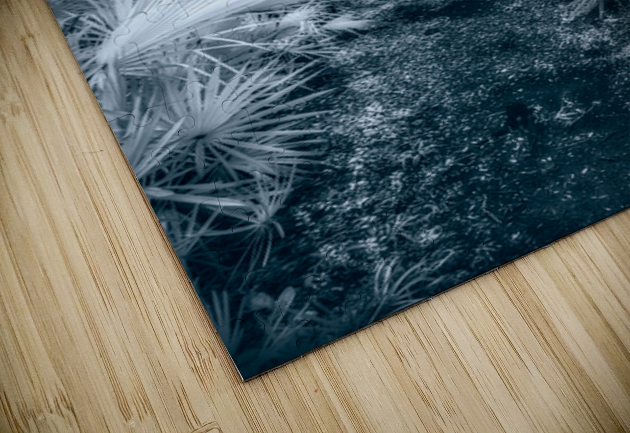 Enchanted Passage: Blue Dawn in the Oaks Dream World Images Puzzle