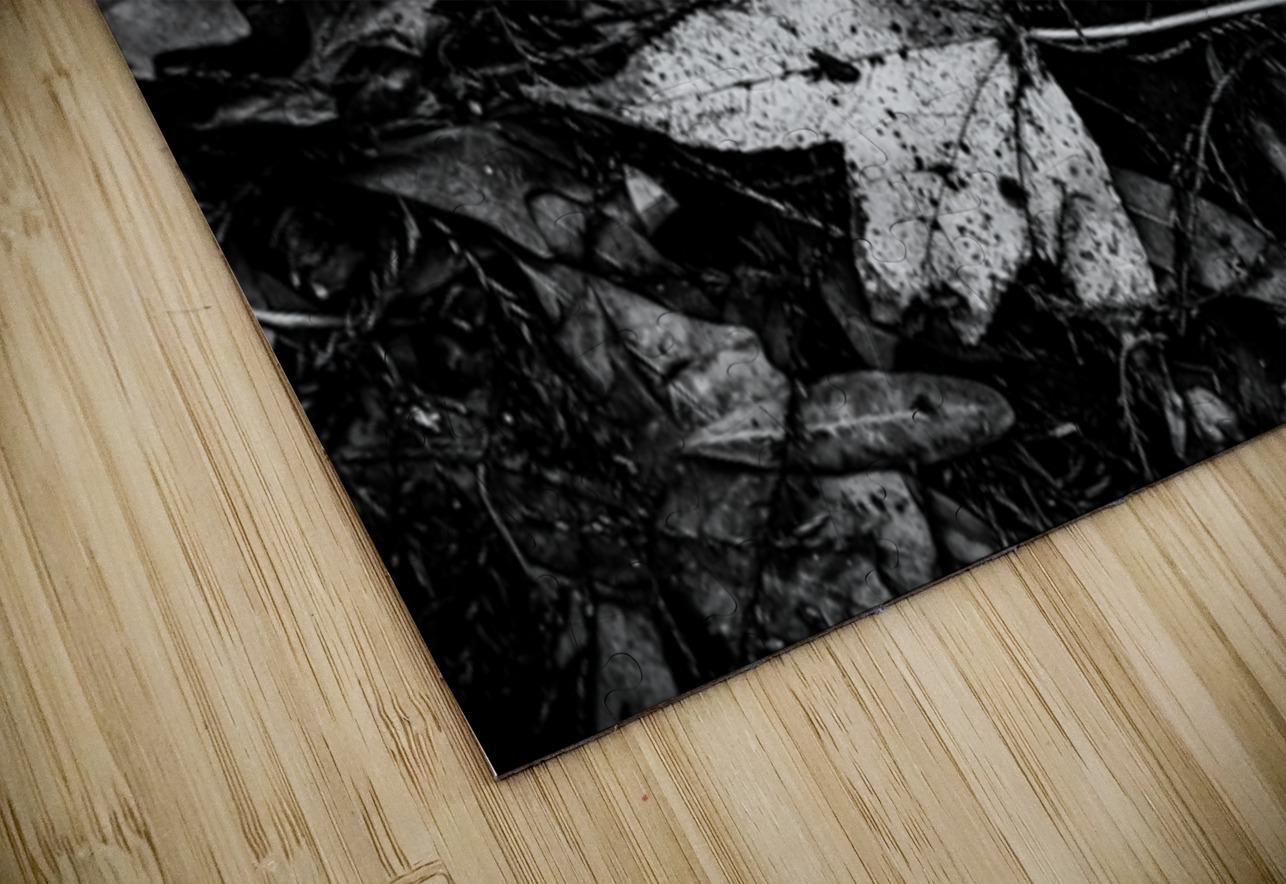 Relic in the Shadows Dream World Images Puzzle