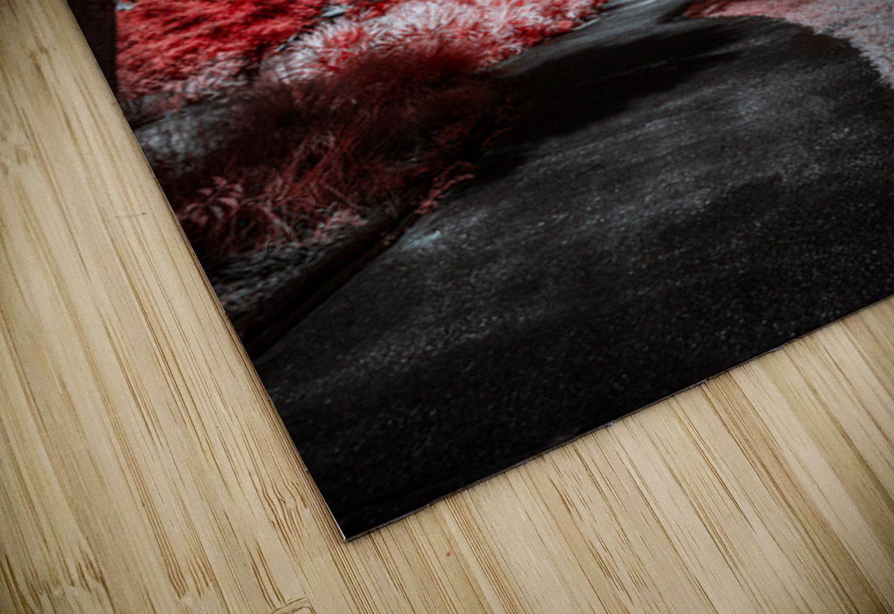 Where the Palms Turn to Ember Dream World Images Puzzle