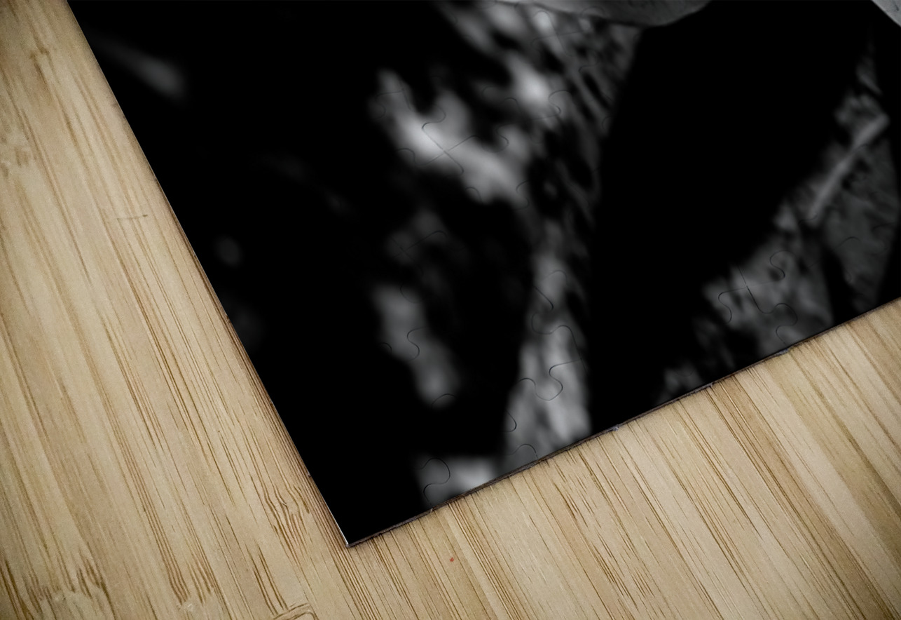 Two Notes of Light Dream World Images Puzzle