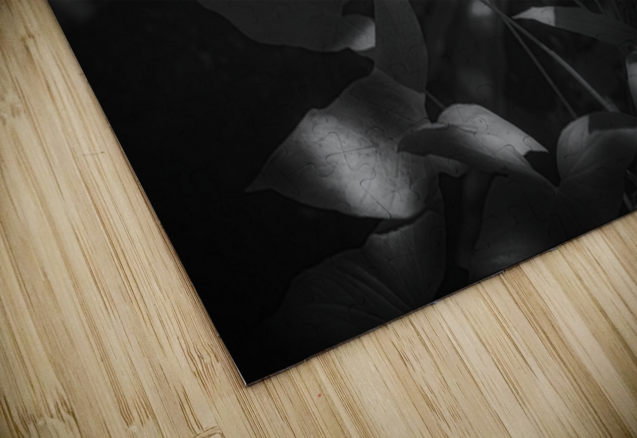 Six Petals of Quiet Fire Dream World Images Puzzle